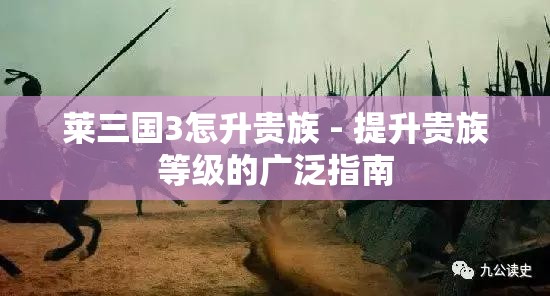 莱三国3怎升贵族 - 提升贵族等级的广泛指南