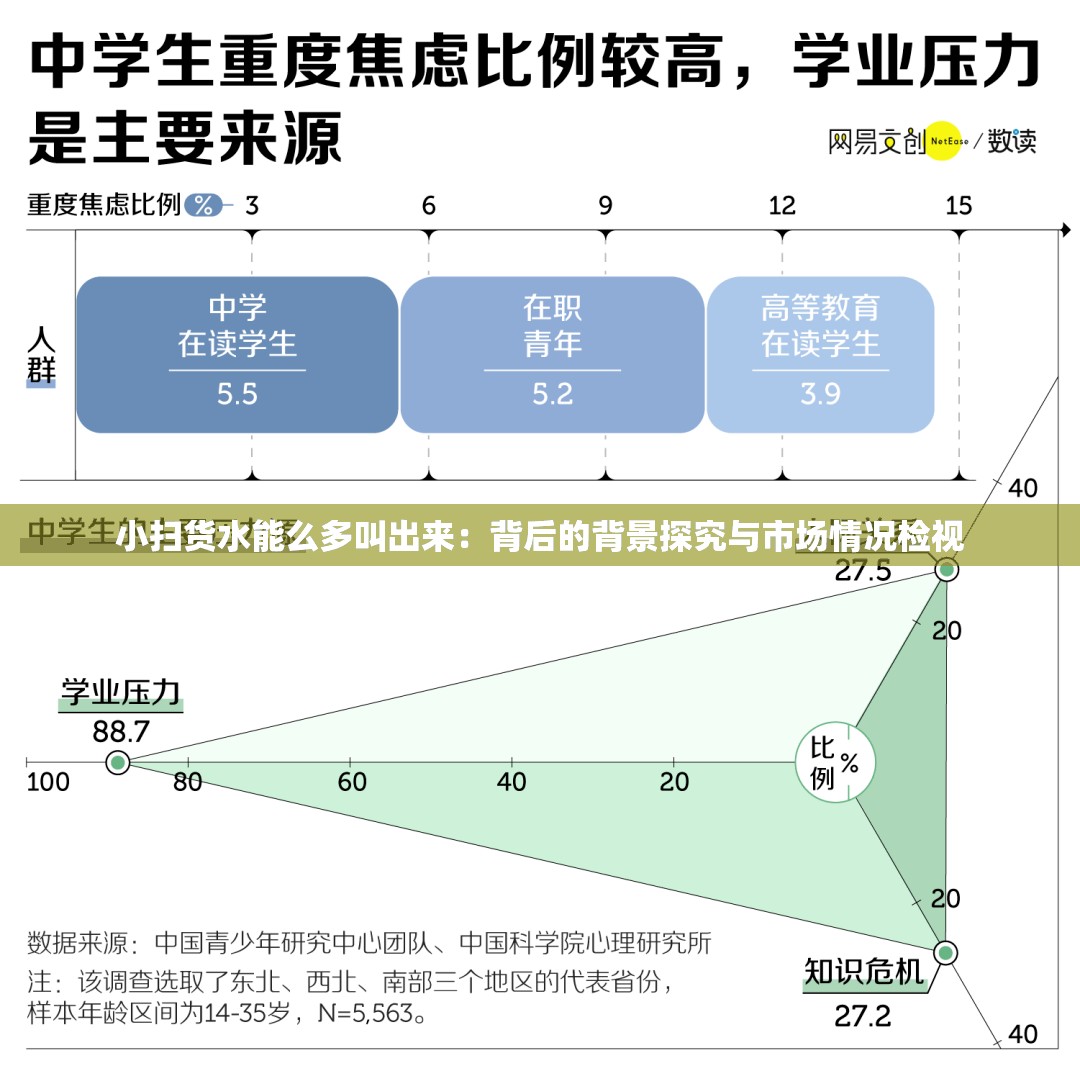 小扫货水能么多叫出来：背后的背景探究与市场情况检视