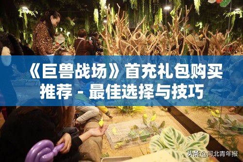 《巨兽战场》首充礼包购买推荐 - 最佳选择与技巧