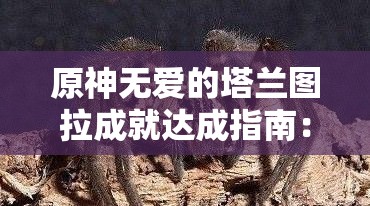 原神无爱的塔兰图拉成就达成指南：详细攻略与技巧