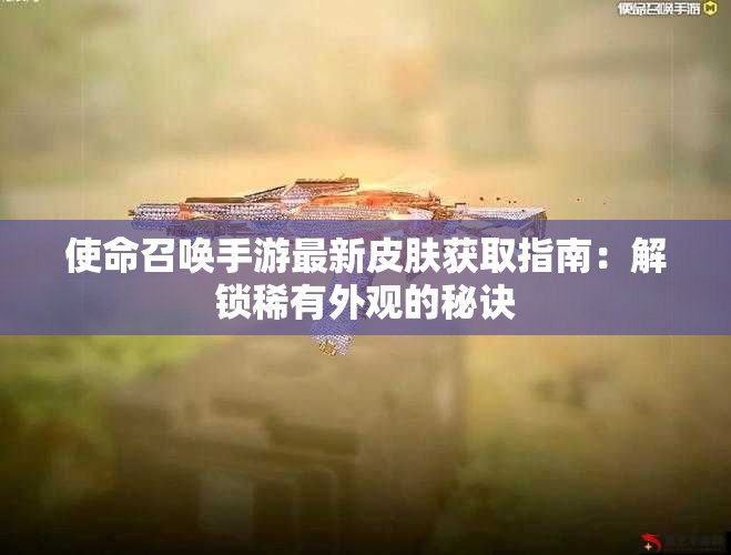 使命召唤手游最新皮肤获取指南：解锁稀有外观的秘诀